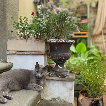 La Magione Dei Todaro 博尔格阿布贾诺 外观 照片
